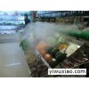 喷雾保鲜设备_超市蔬菜怎样保鲜_蔬菜保鲜方法