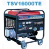 日本大洋汽油发电机组TSV16000TE