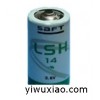 PLC后备记忆电源SAFT锂电池LSH14