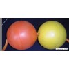 供应浮球,PVC浮球.EVA浮球，各种规格浮球