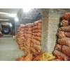 2014马铃薯种子的机械化种植和收获